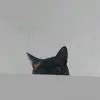 Eric Caruso - @carusocat - TikTok