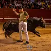 ericcasadobastos - @ericcasadobastos - TikTok