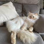 Eric Casequin - @eph58_ - Instagram