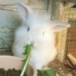 Sparky Casper & Eric - @sparkycasperanderic - Instagram