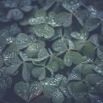 Eric caspers - @eric_carpers - Instagram