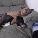 Erik Caster - Facebook