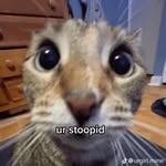 Eric Catalano - @ericcatalno - Instagram