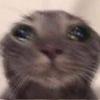 ericates_ - @ericates_ - TikTok