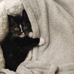 Eric Catona - @eric.cat_ona - Instagram