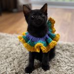 Eric - @eric.cat.o.na - Instagram