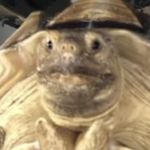 Eric - @eric_mccauley_jr - Instagram