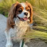 E R I C - @eric_thecavalier - Instagram