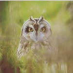 Eric Cabaña - @eric.cavana44 - Instagram
