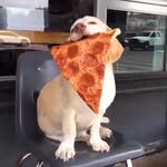 Eric Cavanna - @animalmagic05 - Instagram