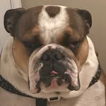 Eric Cawthon Jr. - @cawthonjr.eric - Instagram