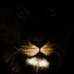 Eric Cawthorne - @elc_double - Instagram