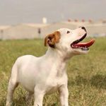 Eric Cazares - @eric.cazares.52 - Instagram