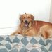 Eric Cazenave - Facebook