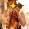 ✨Eric & Celeste✨ - @eric.celeste - TikTok