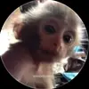 Eric Celis sanchez - @eric.celis.sanche - TikTok
