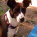 Eric Chaffee - Facebook