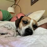 Eric Chaitin - @ericchaitin - Instagram