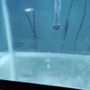 Eric Chalklin - @eric.chalklin - TikTok