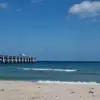 ericaschalk - @ericaschalk - TikTok