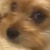 ericchallenger - @1000followersandnovids - TikTok