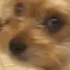 ericchallenger - @1000followersandnovids - TikTok