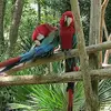 ERIC CHOLLOUX - @eric.cholloux - TikTok