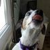 Eric Chalumeau - Facebook