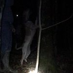 Eric Chambliss - @chambliss110 - Instagram