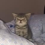 eric - @ericchamorro12342020 - Instagram