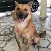 eric chan - @eric.chan21 - TikTok
