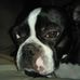 Eric Chaput - Facebook
