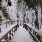 Eric Charest - Facebook