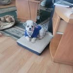 Eric Chartrand - @ericchartrand9298 - Instagram