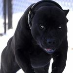 Eric Chase - @eric.chase.378 - Instagram