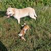 Eric chasse - @eric.chasse - TikTok