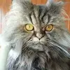ericchauvin7 - @ericchauvin7 - TikTok