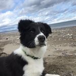 Eric Chiasson - @internationalfisher - Instagram