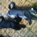 Eric Chiasson - @chiasson2607 - Instagram