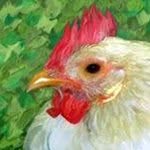 Eric Chicken - @eric_chicken - Instagram