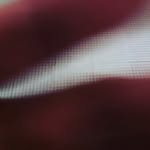 Eric Choi - @eric_choi__ - Instagram