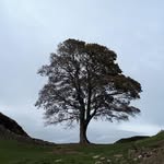 Eric Christofferson - @christoffersone - Instagram