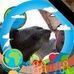 Eric Christofferson - Facebook