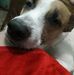 Eric Chu - Facebook