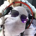 Eric Chute - @_eric.chute_ - Instagram