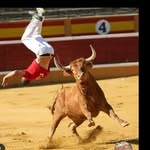 Eric Pascal Capdevielle - @eric.pascal.el.franchute - Instagram