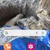 Eric Clark - Facebook
