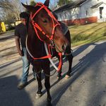 Eric Clarkson - @clarksoneric - Instagram