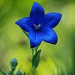 Eric Clarkson - @likedtan - Instagram