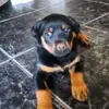 Eric Clash - @ericclash - TikTok
